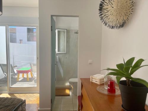 ein Wohnzimmer mit einer Topfpflanze auf dem Tisch in der Unterkunft Casa Amiluz in Ponta Delgada