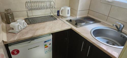 Il comprend une petite cuisine avec un évier et un comptoir. dans l'établissement Apartments Bojadjieski, à Ohrid