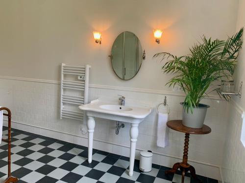 a bathroom with a sink and a mirror and a potted plant at Château Le Repos in Rouffignac-de-Sigoulès