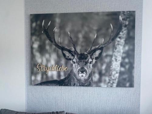 a picture of a deer with antlers on a wall at Ferienwohnung Stryckliebe in Willingen