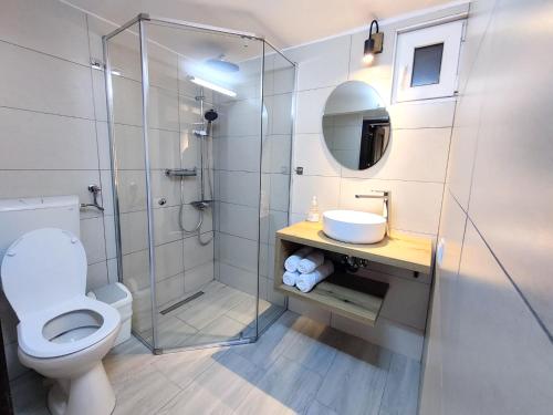 un bagno con doccia, WC e lavandino di Casa La Lina a Sighişoara