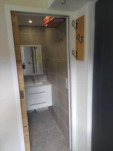 une salle de bain avec un lavabo et un miroir dans l'établissement Chambre avec cuisine, entrée et terrasse privée !, à Curienne