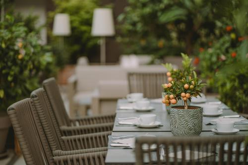 Zahrada ubytování Hotel Lisetta