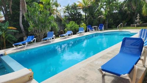 Πισίνα στο ή κοντά στο Casa Colonial, Cozumel Villa Guava