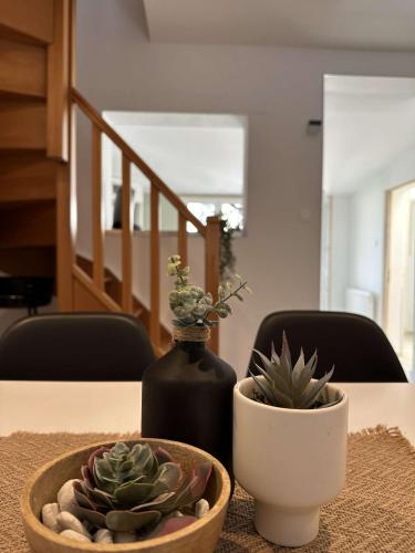 a table with a black vase and a plant on it at Évasion Balnéaire in Grand-Fort-Philippe