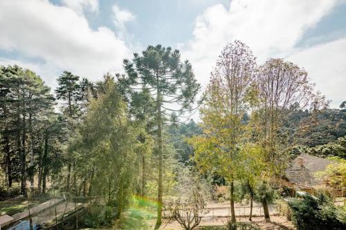 a view of a forest with trees and a rainbow at Chale com hidromassagem Casa Papai Noel in Campos do Jordão