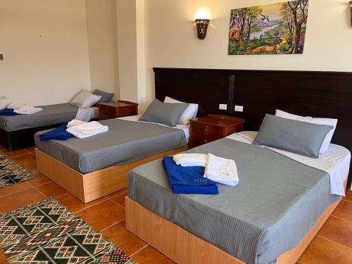 Deep Ashri Star House Hotel – Photos 3