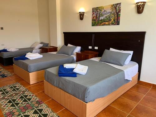 Deep Ashri Star House Hotel – Photos 5