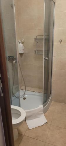 y baño con ducha y aseo. en Zajazd na Liwskich Mostach, en Węgrów