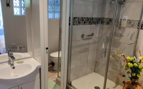 W łazience znajduje się prysznic, umywalka i toaleta. w obiekcie Petit cottage w mieście Saint-Pierre-la-Garenne