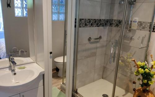 une salle de bain avec une douche, un lavabo et des toilettes dans l'établissement Petit cottage, à Saint-Pierre-la-Garenne