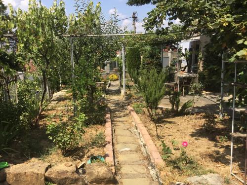 Gallery image of Vila Tradicionale Violeta Korce in Korçë