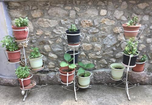 Gallery image of Vila Tradicionale Violeta Korce in Korçë