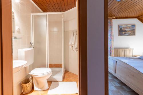 a bathroom with a toilet and a sink at Apartments Pri Urhu in Bohinj