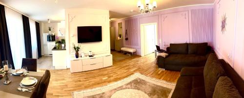 ein Wohnzimmer mit einem Sofa und einem TV in einem Zimmer in der Unterkunft Leon Art Apartment in Leipzig