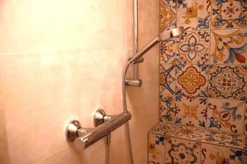 a shower in a bathroom with a shower curtain at BodenSEE Apartment Neukirch Goppertsweiler FUCHS in Neukirch