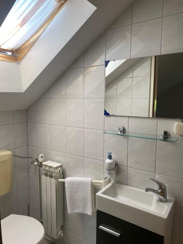 a bathroom with a sink and a toilet at Guesthouse Abrlic in Seliste Dreznicko