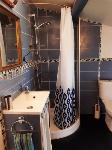 une salle de bain avec une douche, un lavabo et des toilettes dans l'établissement Gîte à la Ferme qui prend racines, à Viscomtat