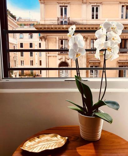 Gambar di galeri bagi 900 Piazza del Popolo di Rome