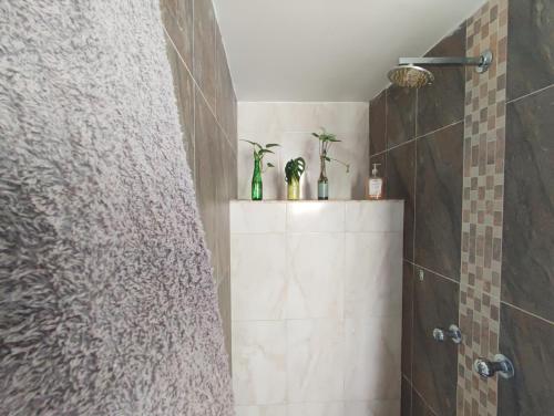 uma casa de banho com um chuveiro com plantas numa prateleira em Beautiful and bright studio apartment with rooftop em Cali