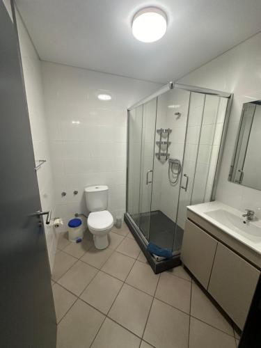 uma casa de banho com um chuveiro, um WC e um lavatório. em Apartamentos Basalto em Madalena