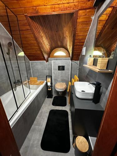 a bathroom with a sink and a tub and a toilet at Füle-Müle Élményház in Füle