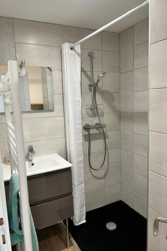 une salle de bain avec douche et lavabo dans l'établissement Studio Lac chalain 30 m2 piscine chauffe, à La Châtelaine