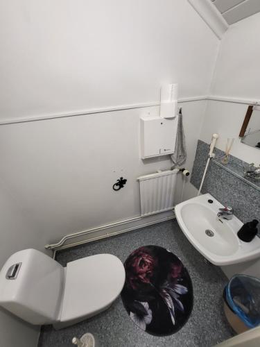 een badkamer met een wit toilet en een wastafel bij Kokon Hovi in Kauhajoki