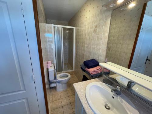 łazienka z umywalką i toaletą w obiekcie Grand gite peyrau aubrac loup gévaudan lozère A75 w mieście Aubigeyres