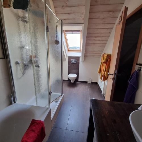 a bathroom with a shower and a toilet at Ferienwohnung mit Balkon in Oberelsbach