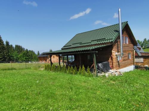 a log cabin with a green roof in a field at Căsuța de munte in Mărişel