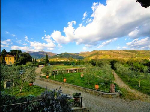 レッジェッロにあるPleasant holiday home in Reggello with poolの家と山の庭園の景色