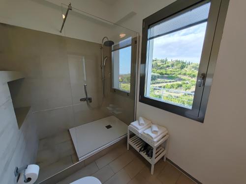 a bathroom with a shower and a window and a toilet at Villa Persea in Santa Venerina