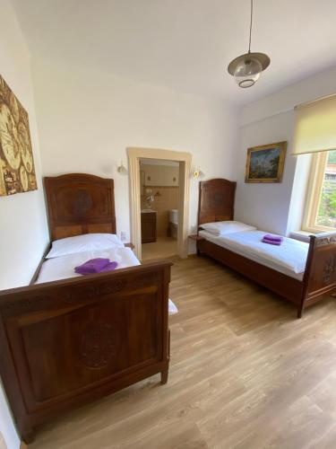 a bedroom with two beds in a room at Vila 1921 in Jevišovice