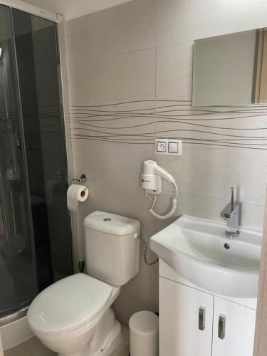 a bathroom with a toilet and a sink at Vila 1921 in Jevišovice