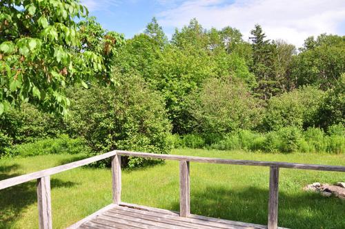 a wooden bridge over a field of grass with trees at Cabot Shores in Indian Brook