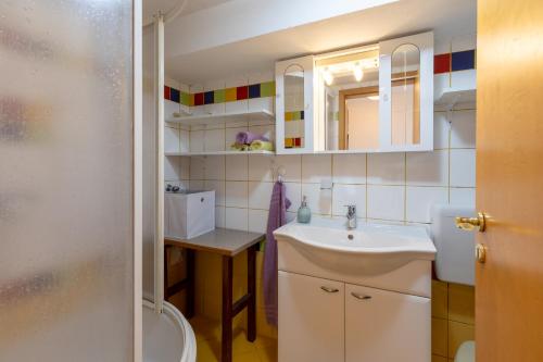 a small bathroom with a sink and a toilet at Apartma Ivano in Bohinj