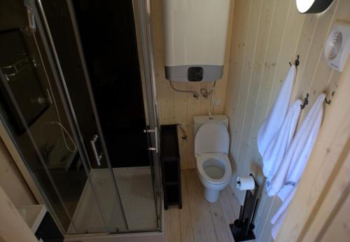 a small bathroom with a toilet and a shower at Ale-Wioska 
