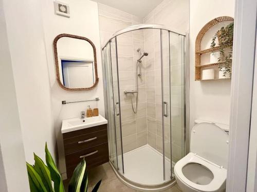 a bathroom with a shower and a toilet and a sink at Muckish Maison in Dunfanaghy