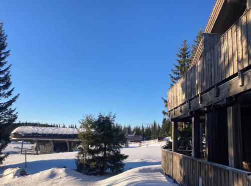Sjusjøen ski in out, ski storage, Wifi, grill & fireplace, modern apartment! trong mùa đông