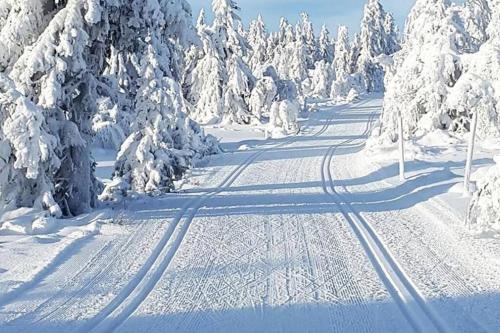 Sjusjøen ski in out, ski storage, Wifi, grill & fireplace, modern apartment! trong mùa đông