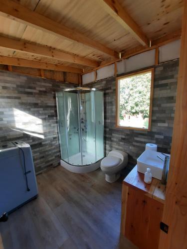 a bathroom with a shower and a toilet and a sink at Ruka kuzel in Pucón