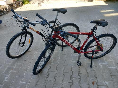 רכיבה על אופניים ב-Apartment Lan או בסביבה