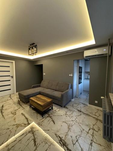 a living room with a couch and a table at Apartament Centrum 2-pokojowy Klimatyzacja nr 6 in Radom