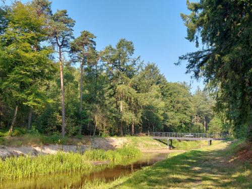 a river with a bridge in the middle of a forest at Vakantiehuis de Bakspieker in Haaksbergen