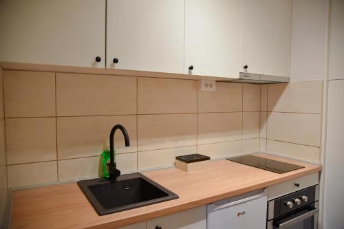 a kitchen with a sink and a counter top at Megdan - stan na dan in Užice