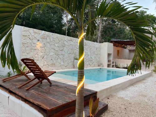 a chair and a palm tree next to a swimming pool at Lodge Tzunum Jade in Tulum