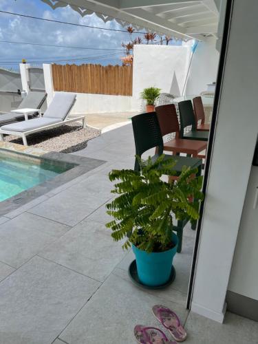 a patio with chairs and a potted plant next to a pool at Les Appart villa Sunbay Caraibes avec piscine privative vue mer et montagne in Le François