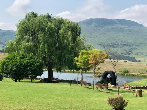 a park with two benches and a tree and a lake at The Water Wheel in Vryheid