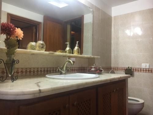 a bathroom with a sink and a mirror and a toilet at Casa Rural El Patio Agulo in Agulo